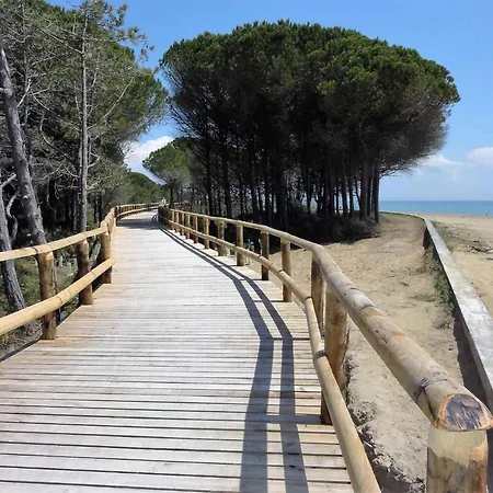 In 36524 Bibione