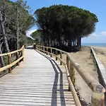 In 36524 Bibione